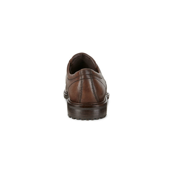 ECCO Vitrus I Plain Toe Tie ECCO Vitrus I Plain Toe Tie